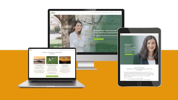 Collage mit Ansichten der Website von Schlenker Impulse in verschiedenen Monitoren